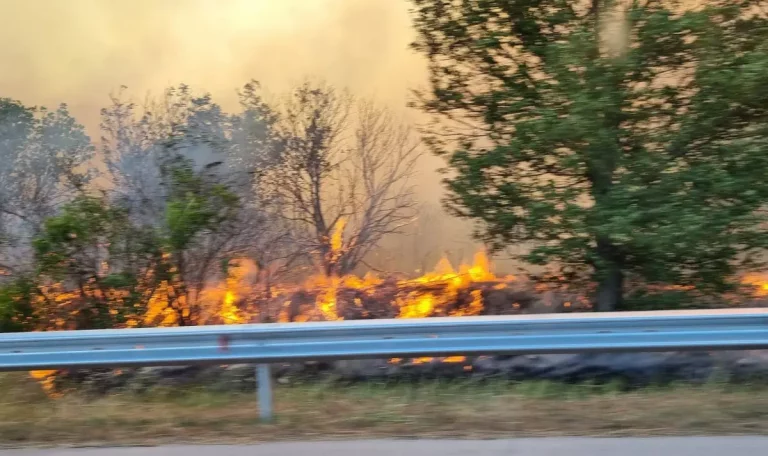 pojar plamna i v kresnenskoto defile 1