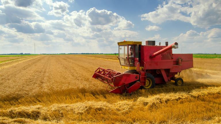 Harvester combine harvesting wheat on sunny summer day